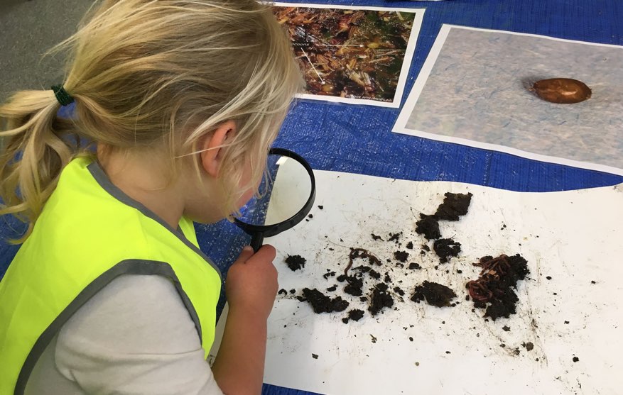 Recycling drop-off at the Whanganui Resource Recovery Centre