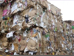 Crushed cans — why should I recycle?